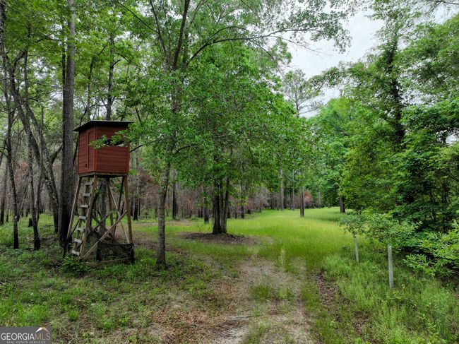 6620 Jr Sims Rd, Home with 0 bedrooms, 0 bathrooms and null parking in Irwinton GA | Image 58