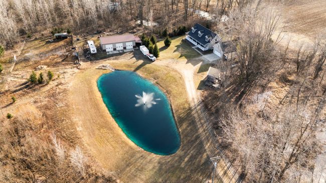 Check out this beautiful Pond | Image 5