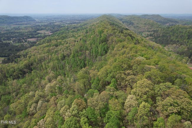 0 Coy Bradley Ln, Home with 0 bedrooms, 0 bathrooms and null parking in Bulls Gap TN | Image 10