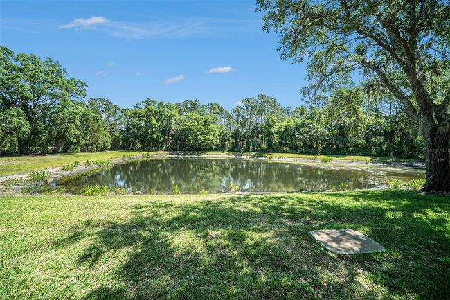 18981 Duquesne Dr, Townhouse with 2 bedrooms, 3 bathrooms and null parking in TAMPA FL | Image 27