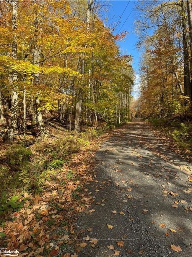 353C Balsam Creek Rd, Home with 0 bedrooms, 0 bathrooms and null parking in Loring ON | Image 4