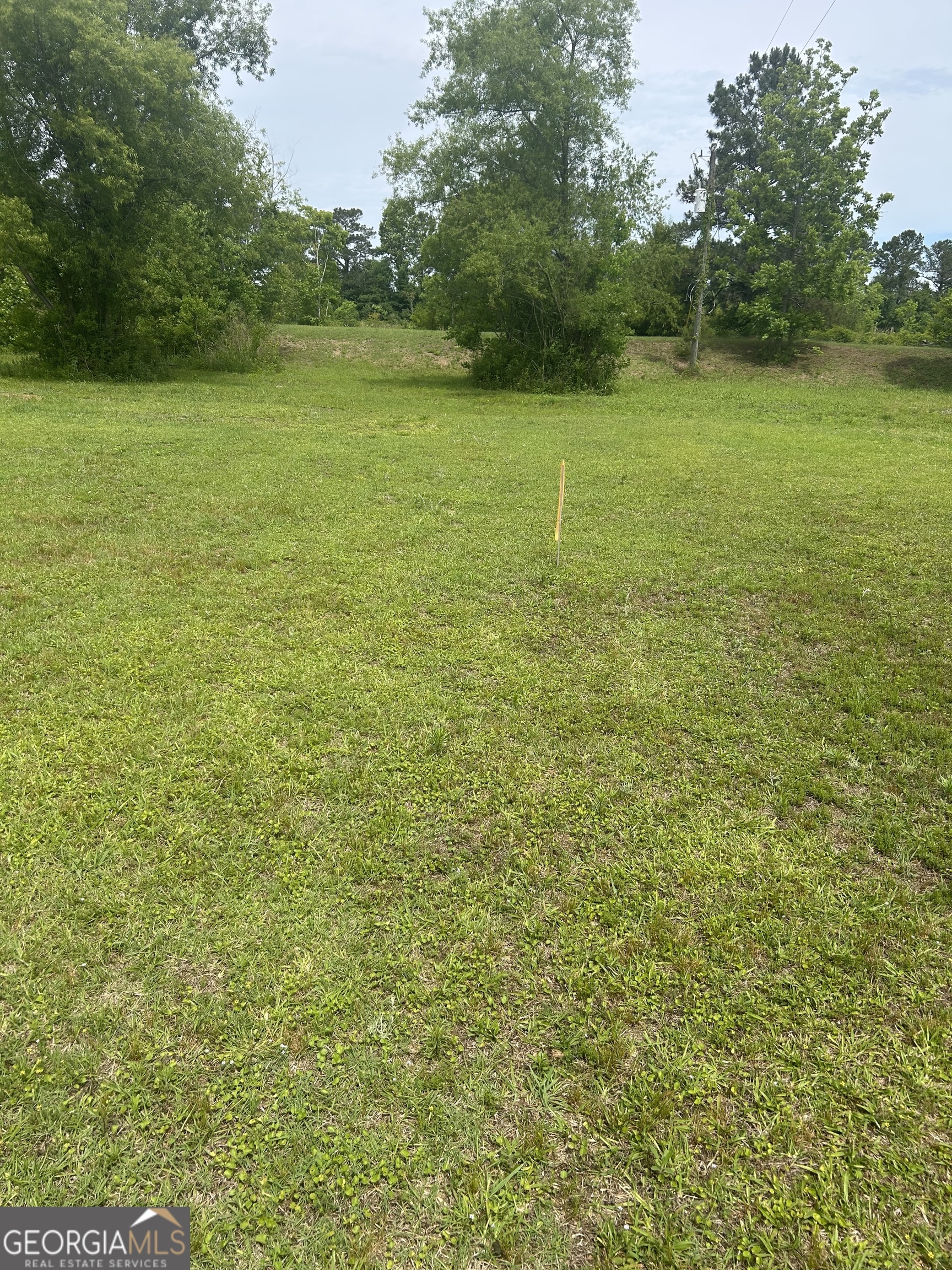 Land in Cochran 4