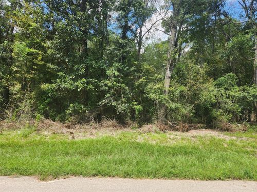 00 Idle Wood Roadway, New Caney, TX, 77357 | Card Image