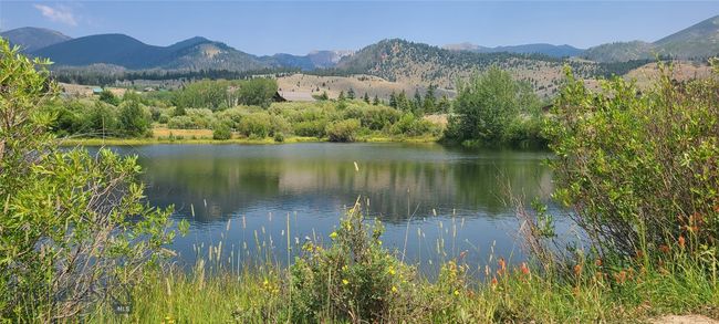 NE view from community pond | Image 6