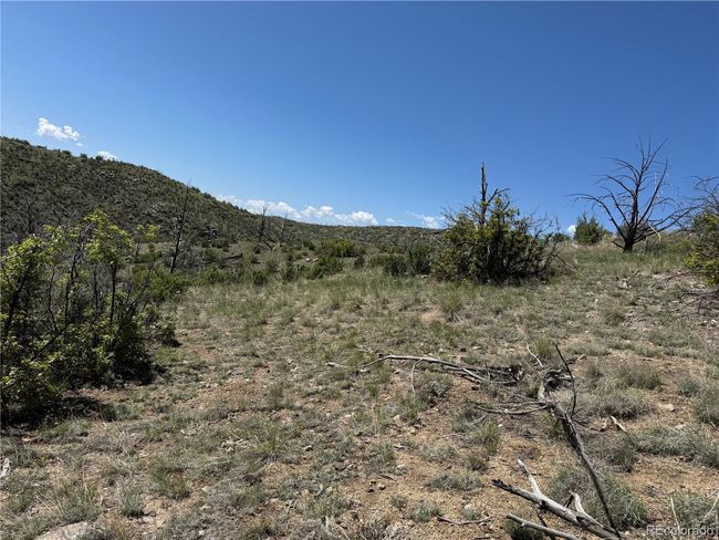 29 18 X, Home with 0 bedrooms, 0 bathrooms and null parking in Cotopaxi CO | Image 10
