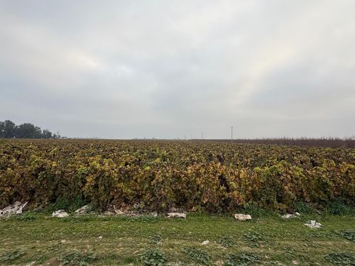 0 E Klepper Ave, Caruthers, CA, 93609 | Card Image