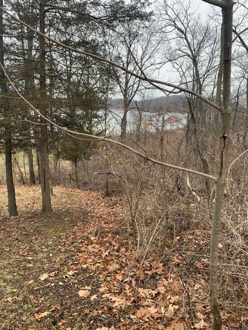 0 Ridge, Manchester Township, MI, 48158 | Card Image