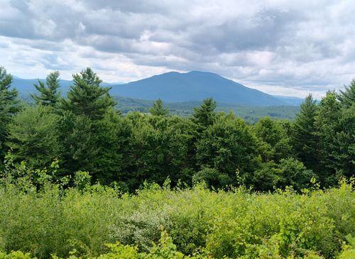 0 Cat Hole Rd, Claremont, NH, 03743 | Card Image