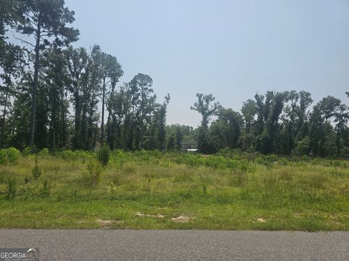 0 Chesley Drive, Vidalia, GA, 30474 | Card Image