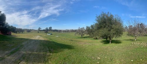 11176 Camanche Pkwy S, Wallace, CA, 95254-7206 | Card Image