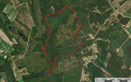 0 Gully Branch Rd., Dillon, SC, 29536 | Card Image