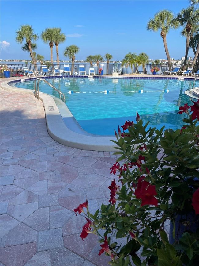 Pool has a view too | Image 55