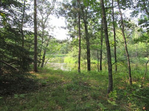 LOTS 5-11 TBD FRONT STREE Front Street, Pine River, MN, 56474 | Card Image