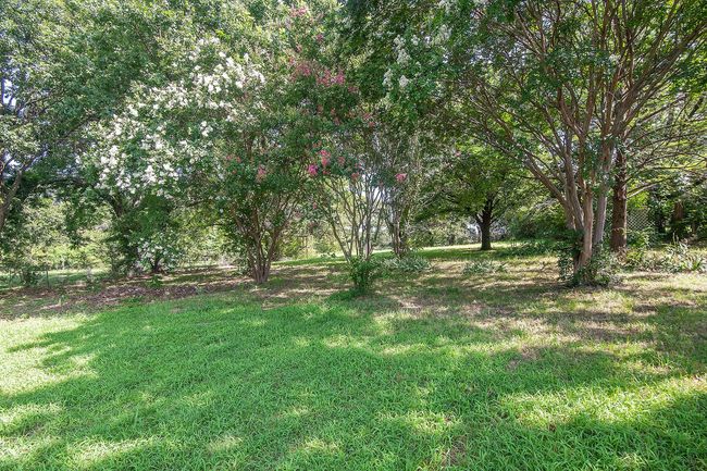 View of grassy yard | Image 27