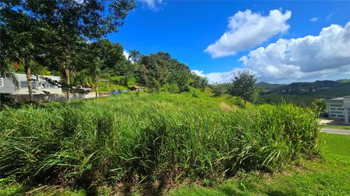 3-152 Quebradillas, Barranquitas, PR, 00794 | Card Image