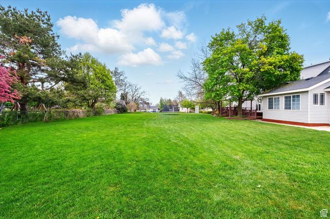 View of grassy yard | Image 13