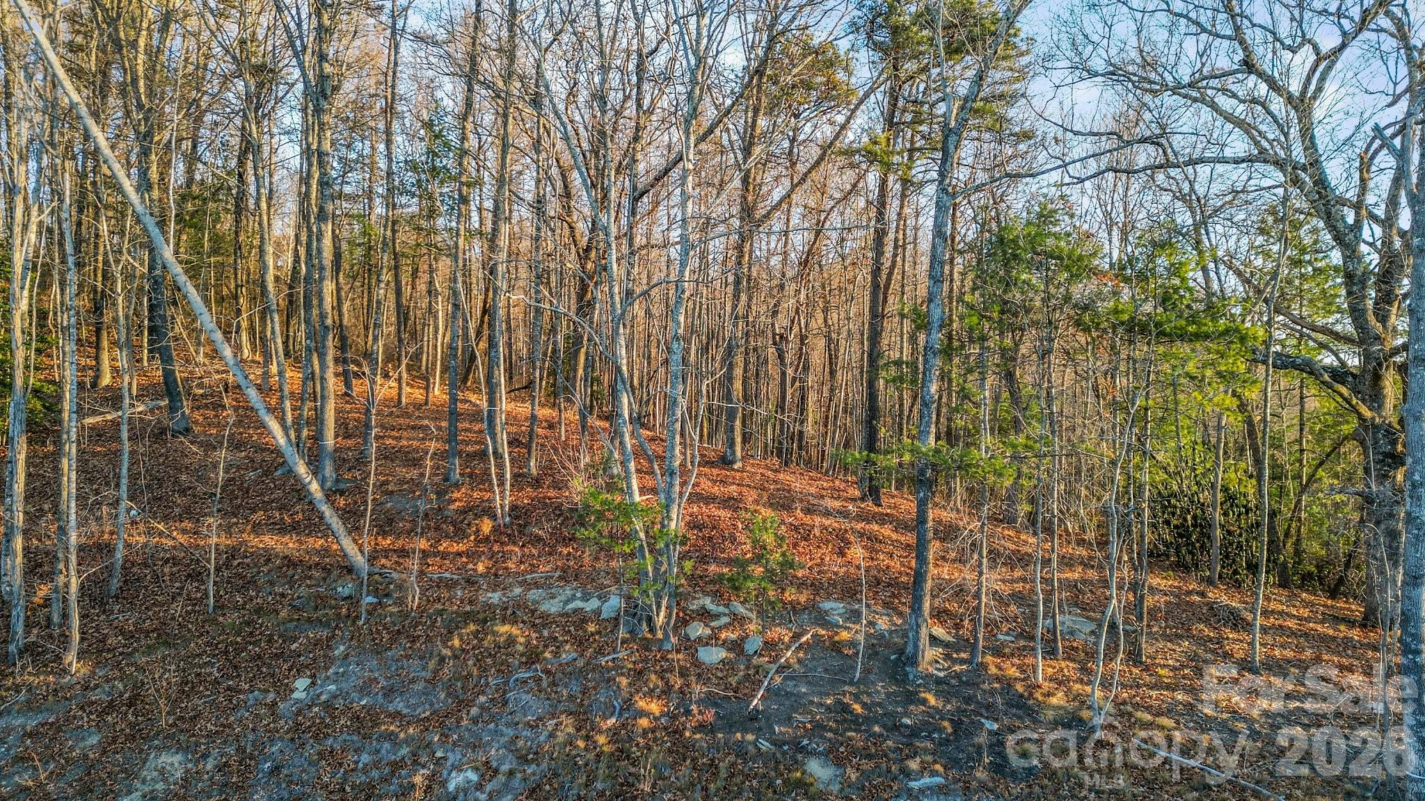 Land in Fletcher 3