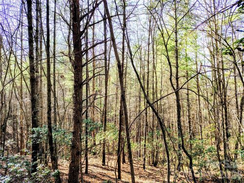 10 Acres Tahoe Trail, Collettsville, NC, 28611 | Card Image