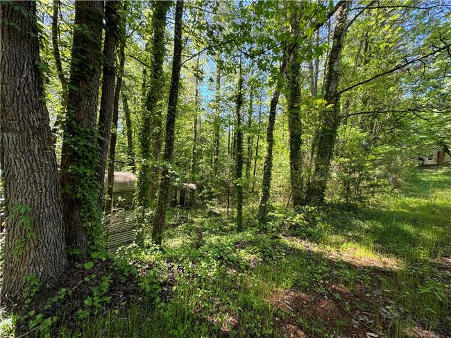 160 W Tyger Bridge Rd, Home with 0 bedrooms, 0 bathrooms and null parking in Taylors SC | Image 5