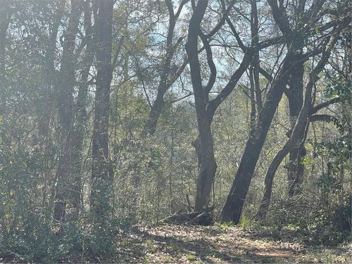 0 Windy Leaf Dr, Grand Bay, AL, 36541 | Card Image