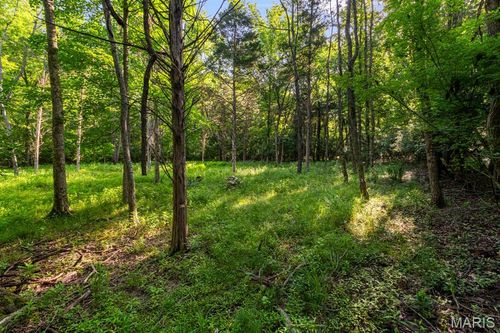 3701 Bear Tooth Ln, Wildwood, MO, 63069-2532 | Card Image