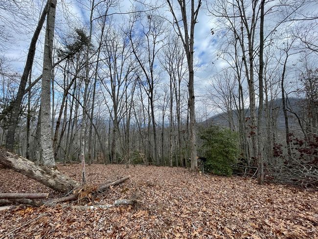 #114 Eagles Vw, Home with 0 bedrooms, 0 bathrooms and null parking in Hayesville NC | Image 7