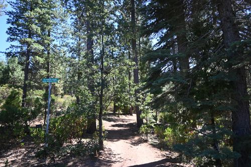 11 Kirby Ct, Burney, CA, 96013 | Card Image