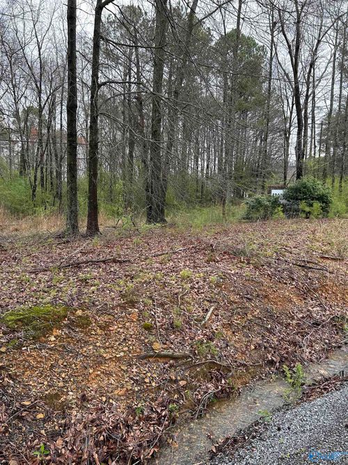 Lot 10, 0.95 ac Dry Creek Rd, Cleveland, AL, 35049 | Card Image