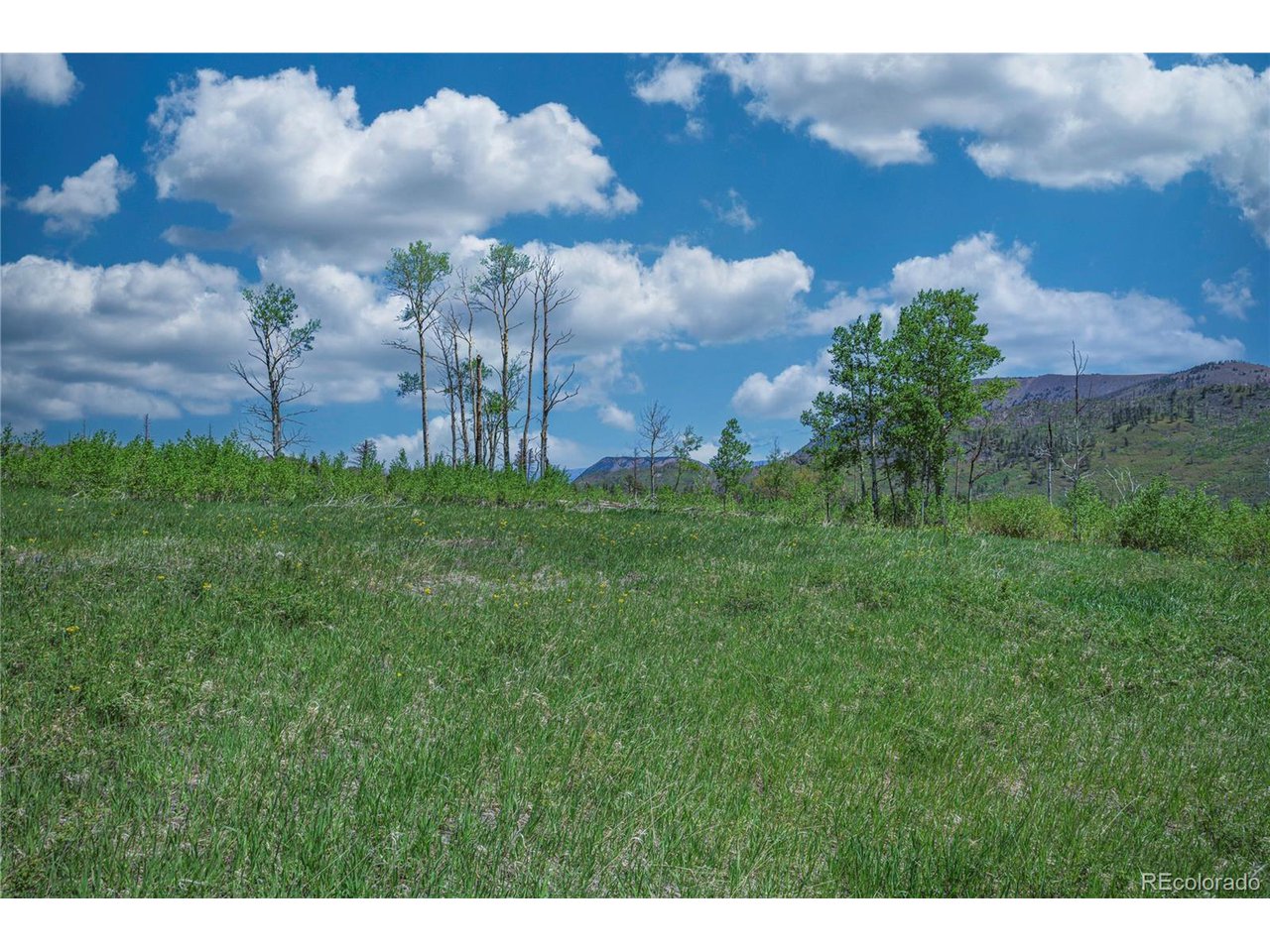 Land in La Veta 5