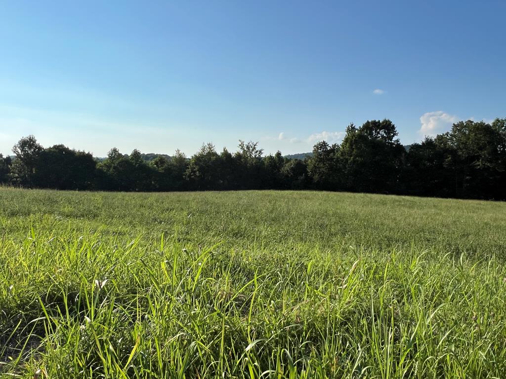 Land in Byrdstown