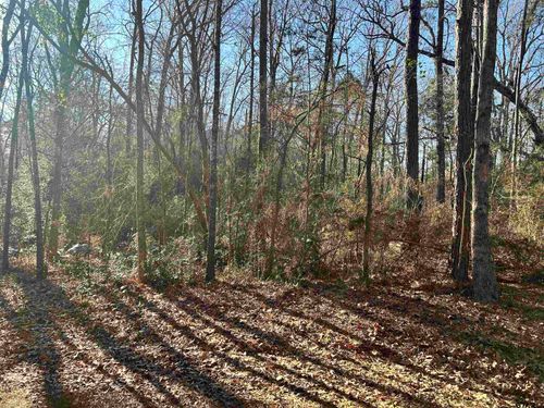 TBD County Road 3194 S, Mount Enterprise, TX, 75681 | Card Image