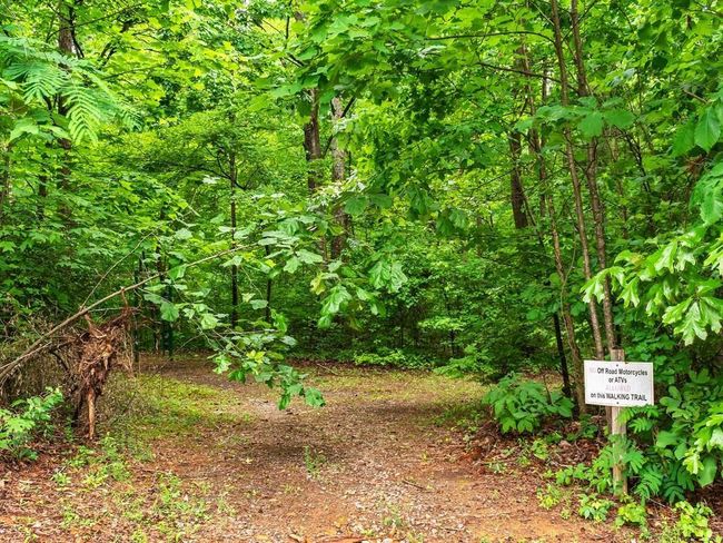 234 Stirratt Rd, Home with 0 bedrooms, 0 bathrooms and null parking in Ranger GA | Image 12