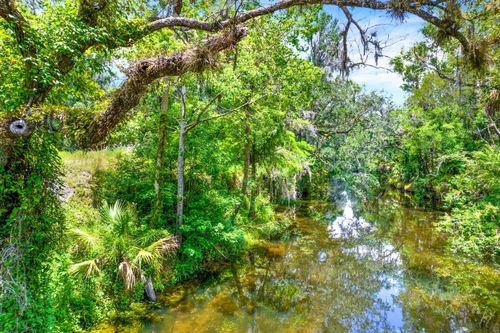 1115 Myrtle Rd, VALRICO, FL, 33596-7128 | Card Image