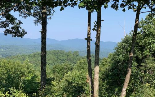 LOT 7 Golden Oaks, Warne, NC, 28909 | Card Image