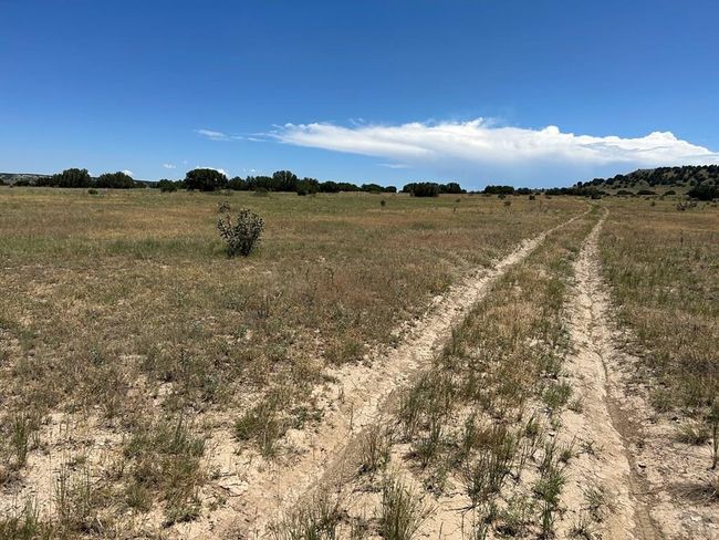 Lot 17 Longhorn Rd, Home with 0 bedrooms, 0 bathrooms and null parking in Model CO | Image 7
