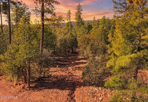 5-0 N Fawn Dr, Pine, AZ, 85544 | Card Image