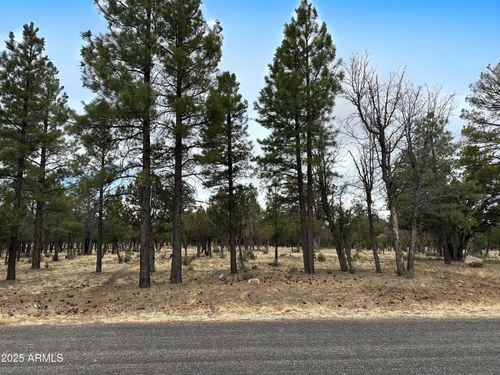 205-3431 Durango Dr, Happy Jack, AZ, 86024 | Card Image