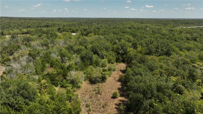 Bird's eye view of a forest | Image 4
