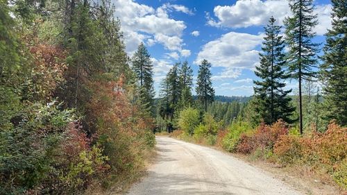 11618 E Dusty Ln, Chattaroy, WA, 99003 | Card Image