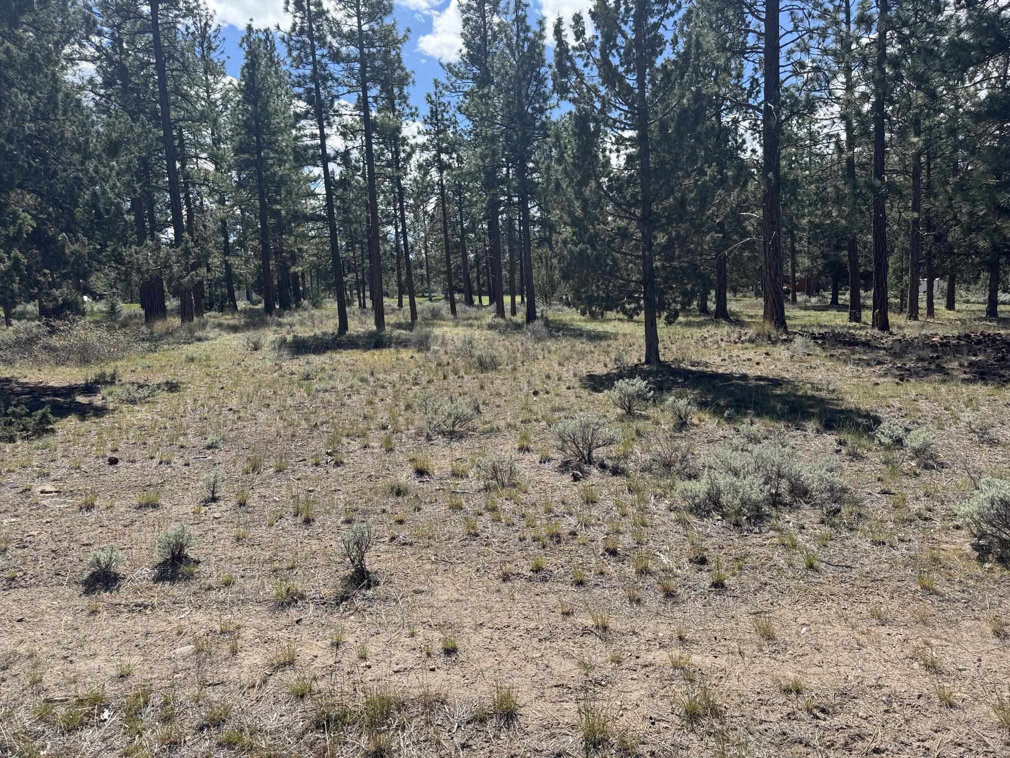 Land in Weed