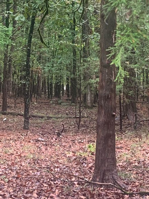 Lot 52 Tannenbaum Rd, Drasco, AR, 72530-9378 | Card Image