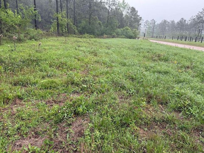 0 Richardson Rd E, Home with 0 bedrooms, 0 bathrooms and null parking in Livingston TX | Image 32