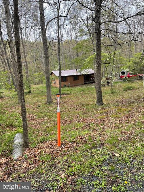 462 Trout Stream Rd, LOST CITY, WV, 26810-8358 | Card Image