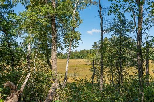 Tract D TBD Little Pine Road, Brainerd, MN, 56401 | Card Image