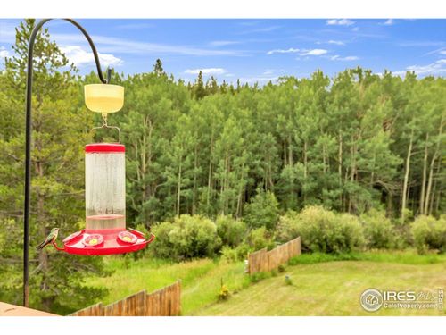 212 Glen Mawr Dr, Black Hawk, CO, 80422-4354 | Card Image