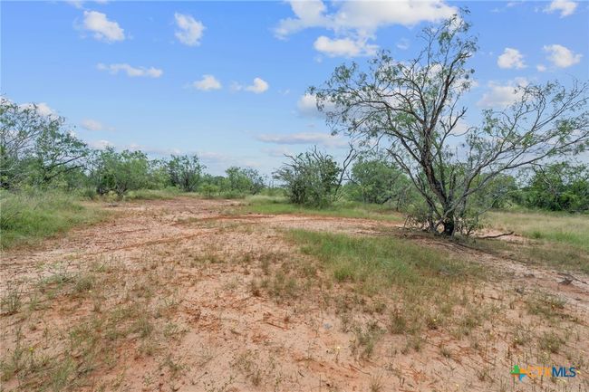 3597 Baker Rd, Home with 0 bedrooms, 0 bathrooms and null parking in Kingsbury TX | Image 20
