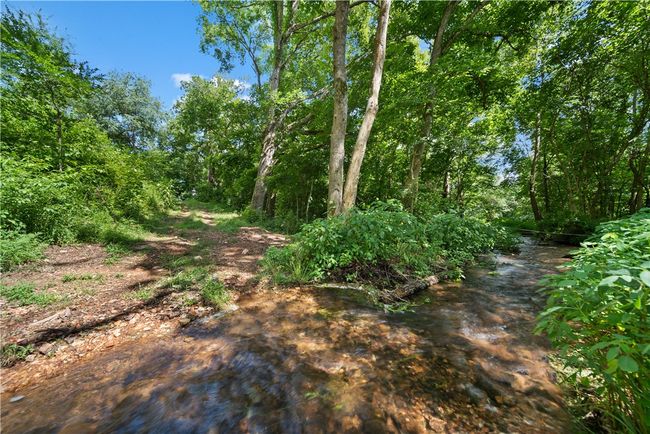 Creek crossing from access easement between Lots 12 and 13 to amenity area. | Image 7
