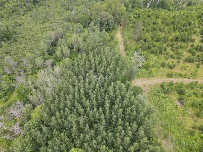 W39XX Frog Creek Rd, Home with 0 bedrooms, 0 bathrooms and null parking in MINONG WI | Image 8