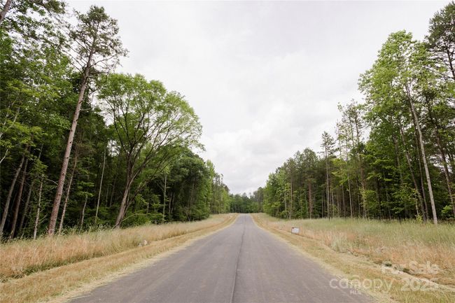 Lot 12 American Bittern Way, Home with 0 bedrooms, 0 bathrooms and null parking in Clover SC | Image 14