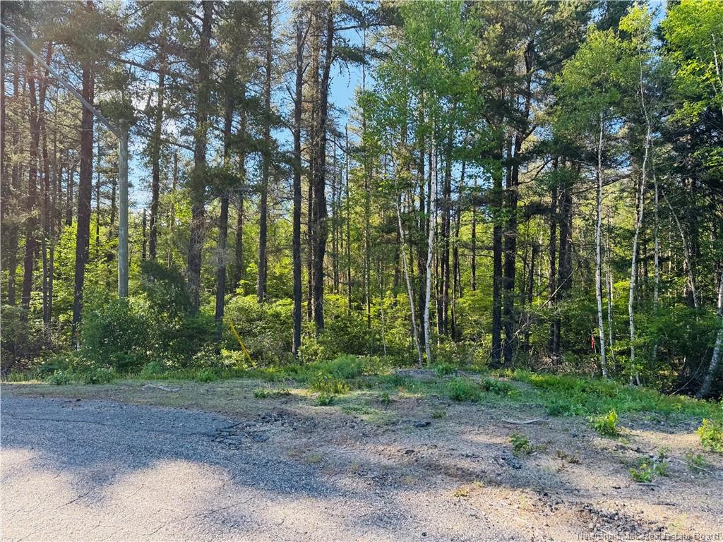 Land in Miramichi 3